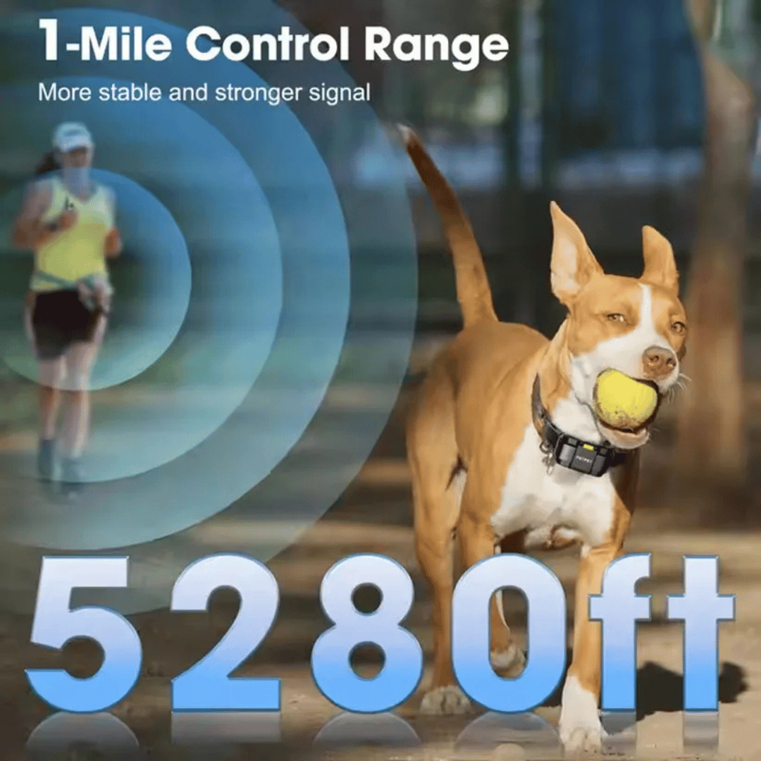 ControlMax™ 1-Mile Remote Dog Training Collar for Big & XL Dogs