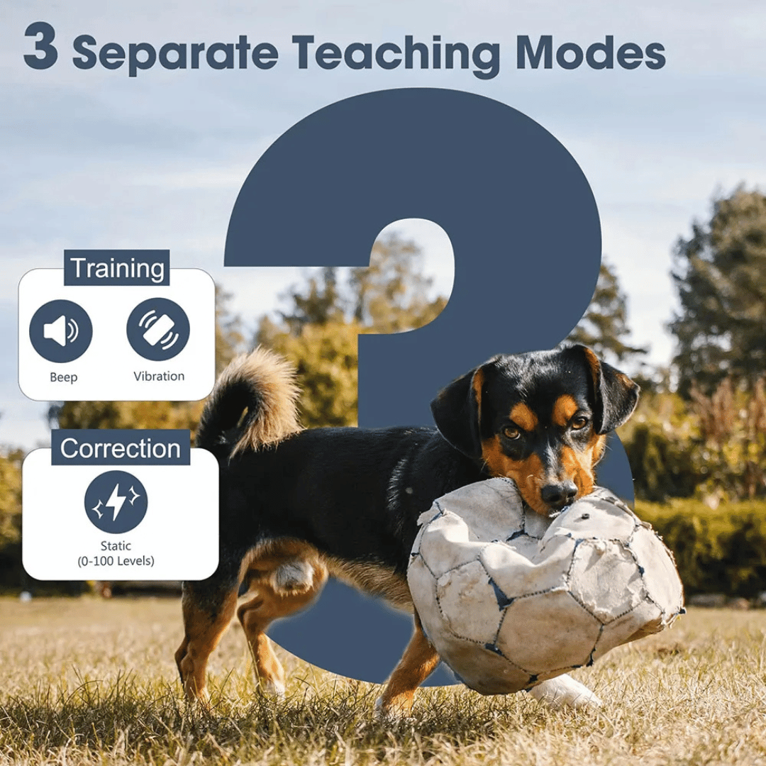 ControlMax™ 1-Mile Remote Dog Training Collar for Big & XL Dogs