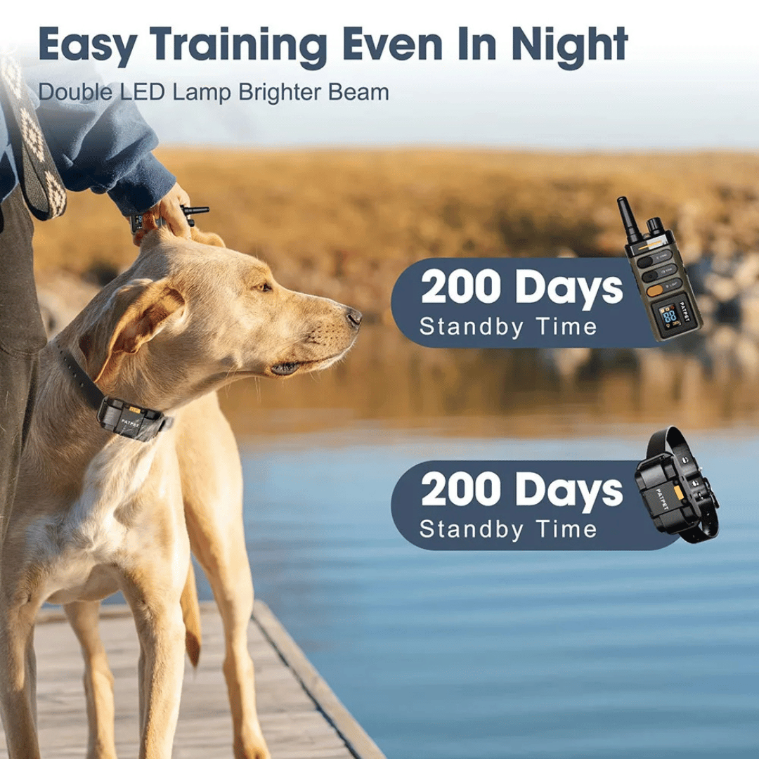 ControlMax™ 1-Mile Remote Dog Training Collar for Big & XL Dogs