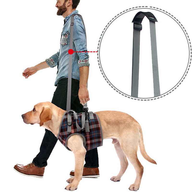 Dog Rear Leg Support Harness