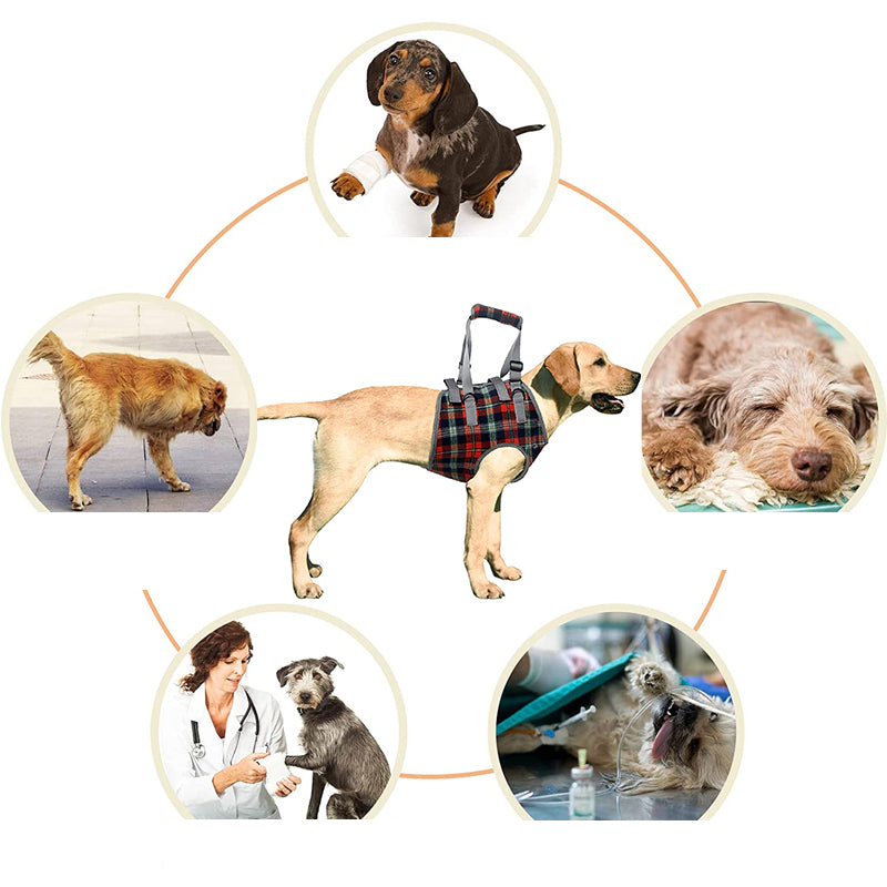 Dog Rear Leg Support Harness