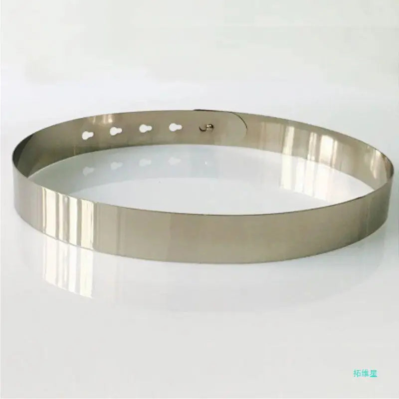 Vintage Metal Plate Adjustable Waist Belt