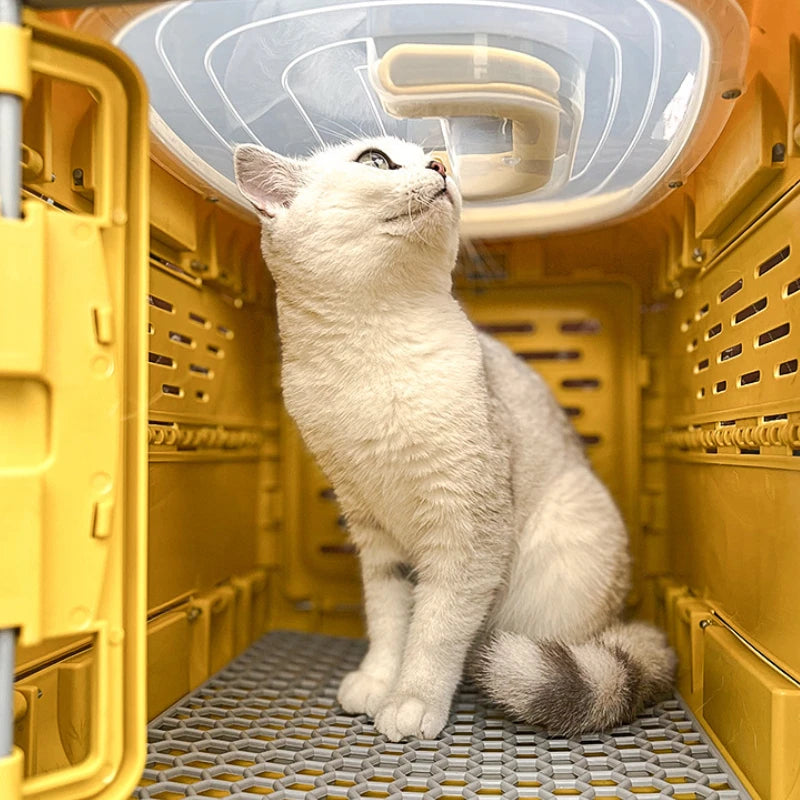 PetVoyage – Foldable Pet Transport Box for Safe & Comfortable Travel