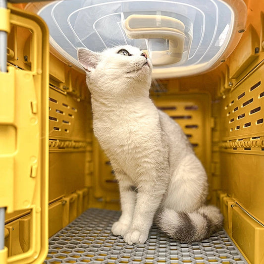 PetVoyage – Foldable Pet Transport Box for Safe & Comfortable Travel