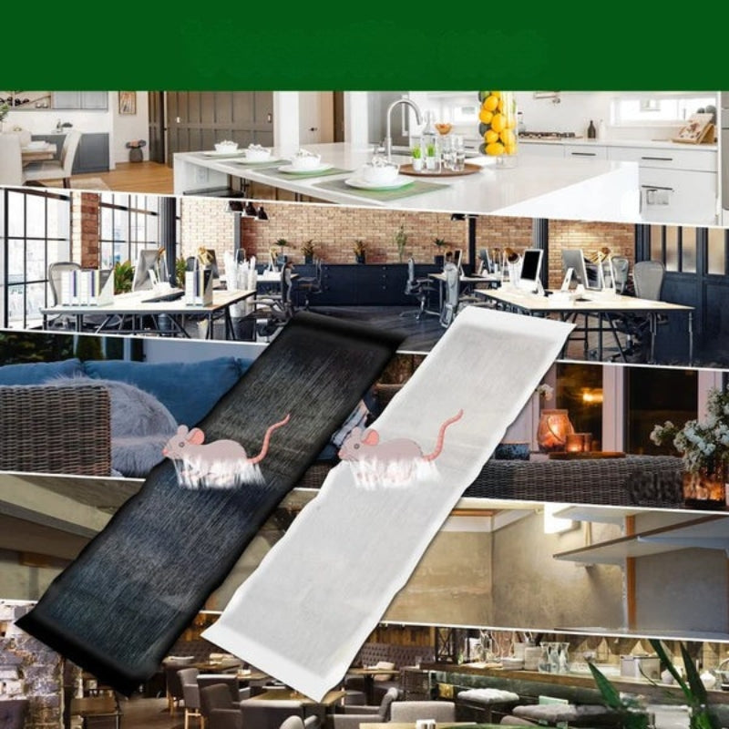 Large Sticky Mouse and Rat Glue Trap