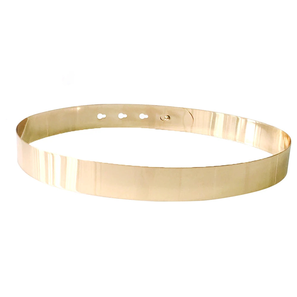 Vintage Metal Plate Adjustable Waist Belt