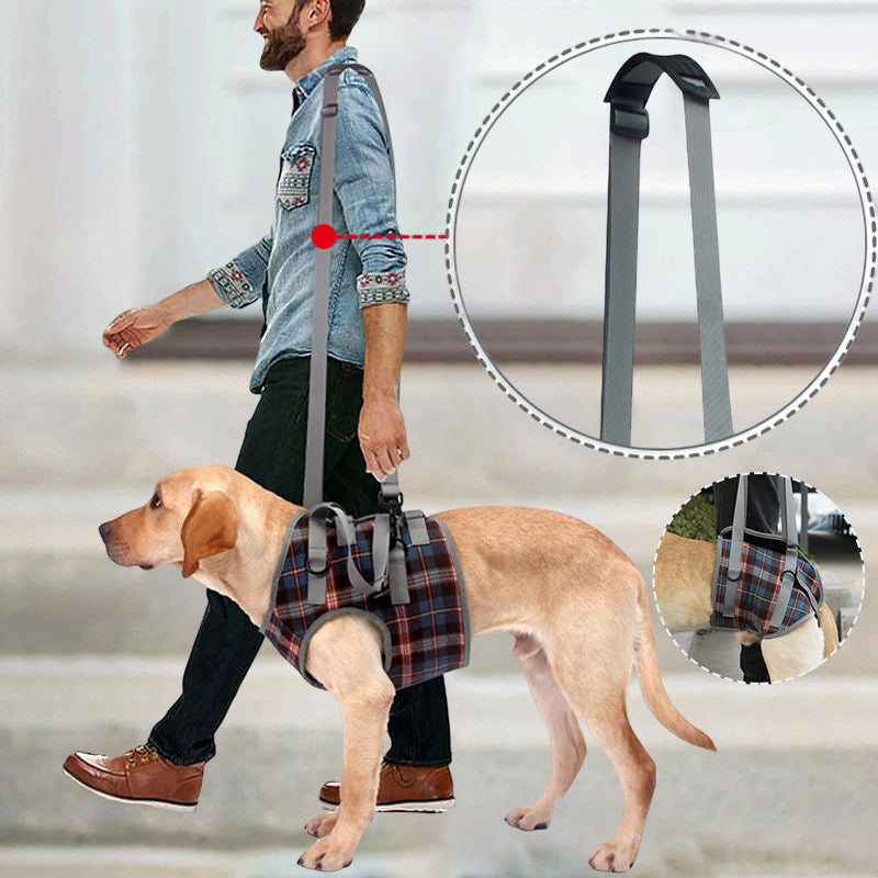 Dog Rear Leg Support Harness