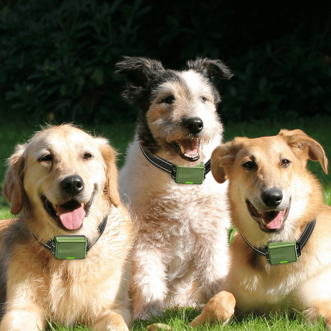 GripTrain™ 300m Smart Dog Training Collar with LCD Remote Control