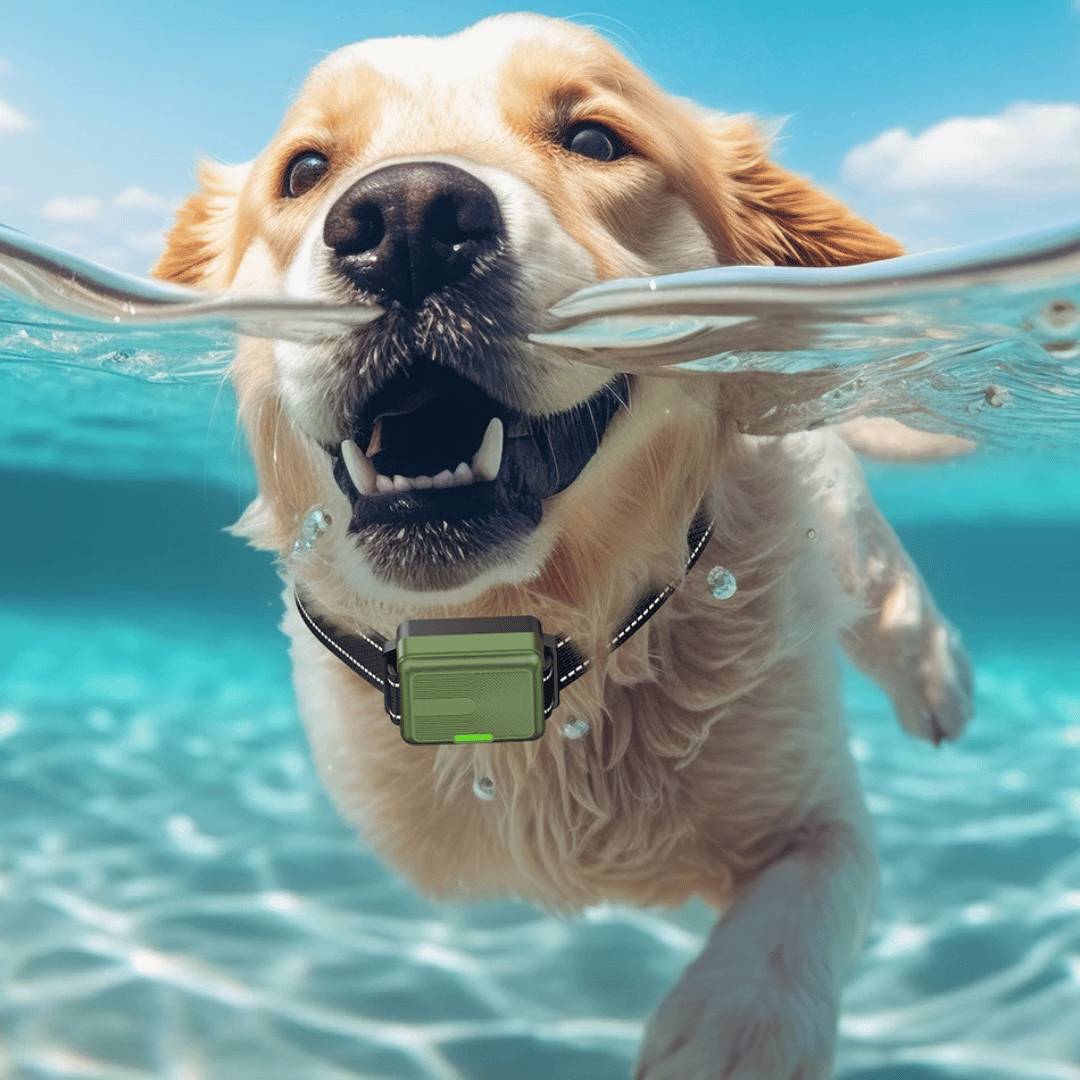 GripTrain™ 300m Smart Dog Training Collar with LCD Remote Control