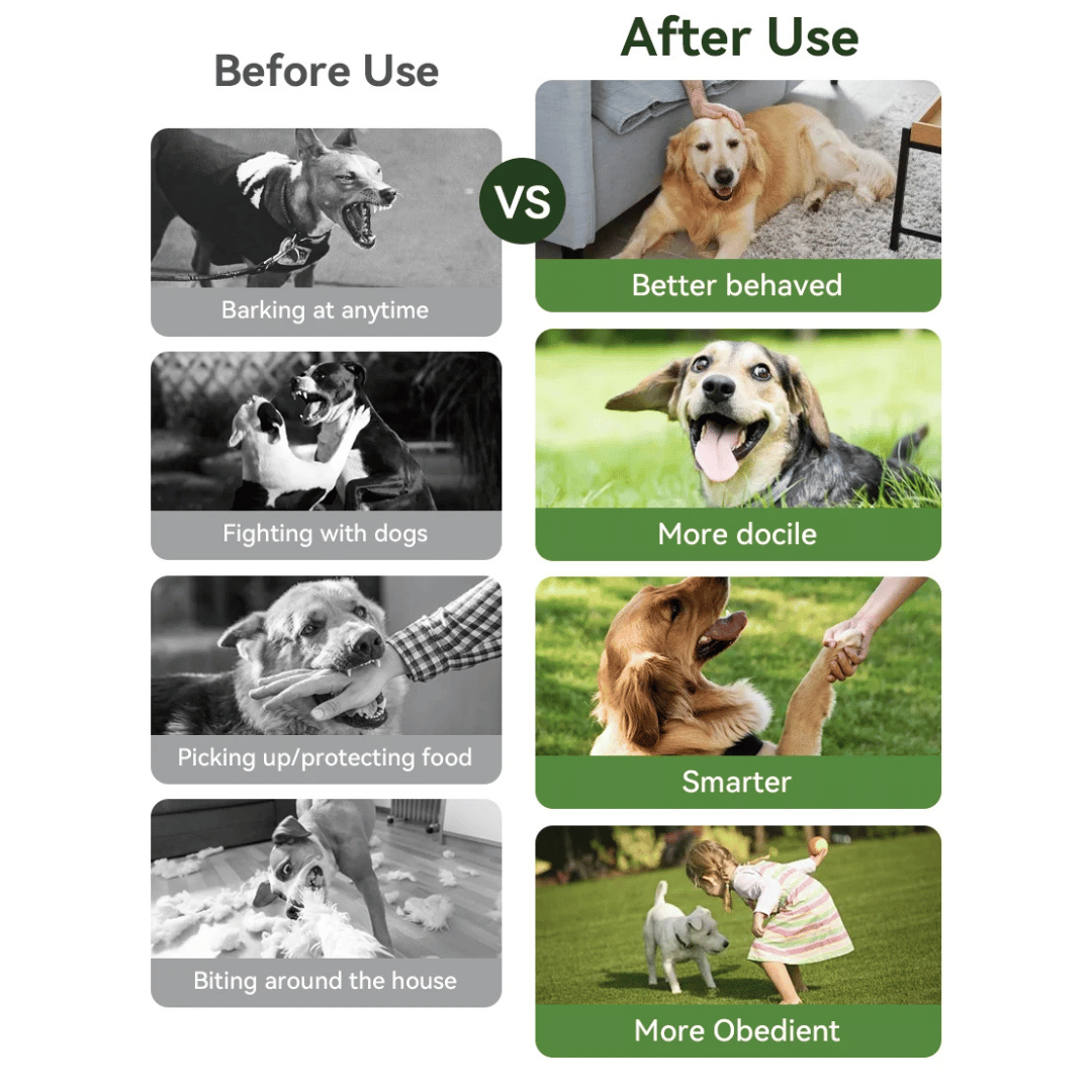 GripTrain™ 300m Smart Dog Training Collar with LCD Remote Control