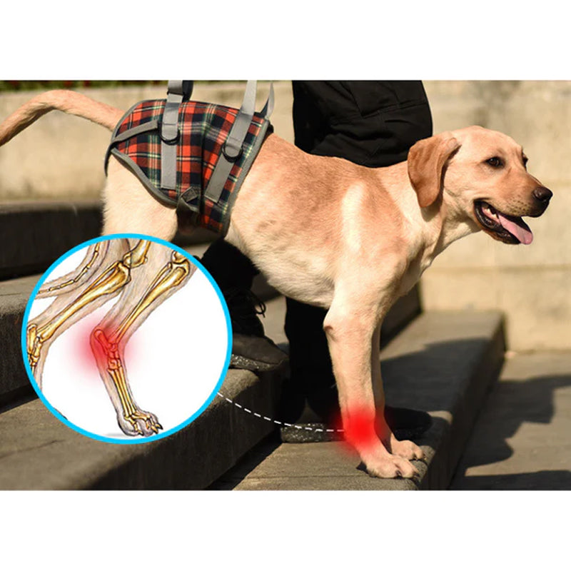 Dog Rear Leg Support Harness