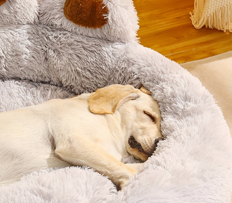 Waschbares, pfotenförmiges Haustierbett mit erhöhten Rändern