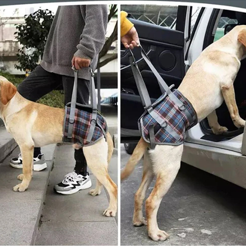 Dog Rear Leg Support Harness