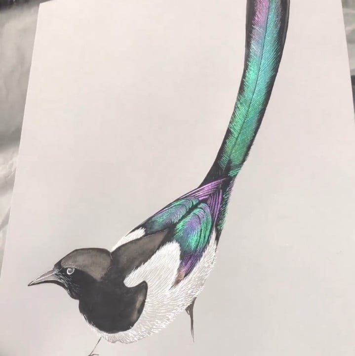 20 Color Watercolor Paint Set With Shimmer Pigments