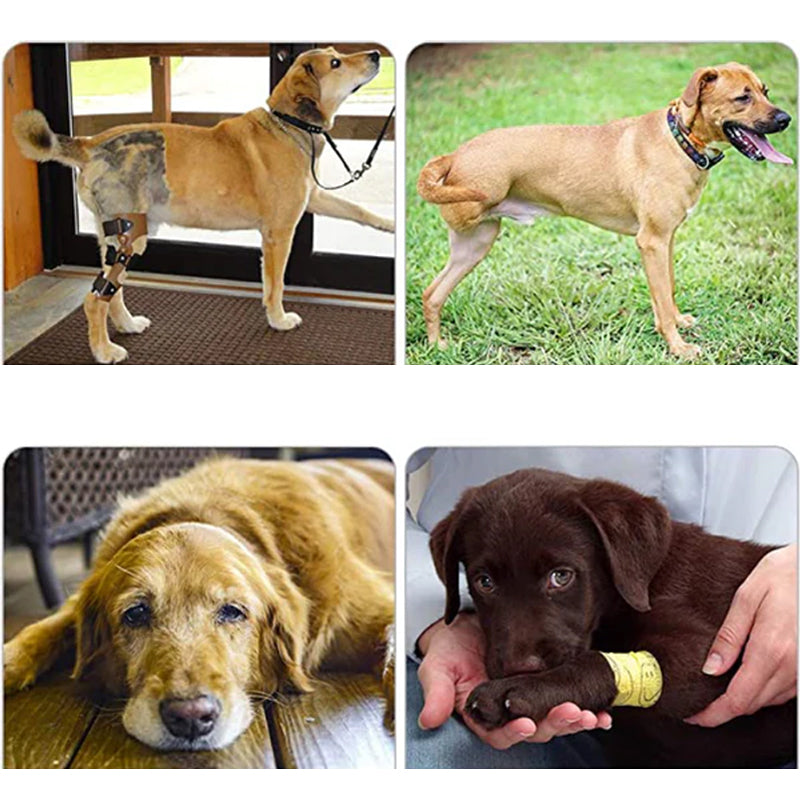 Dog Rear Leg Support Harness