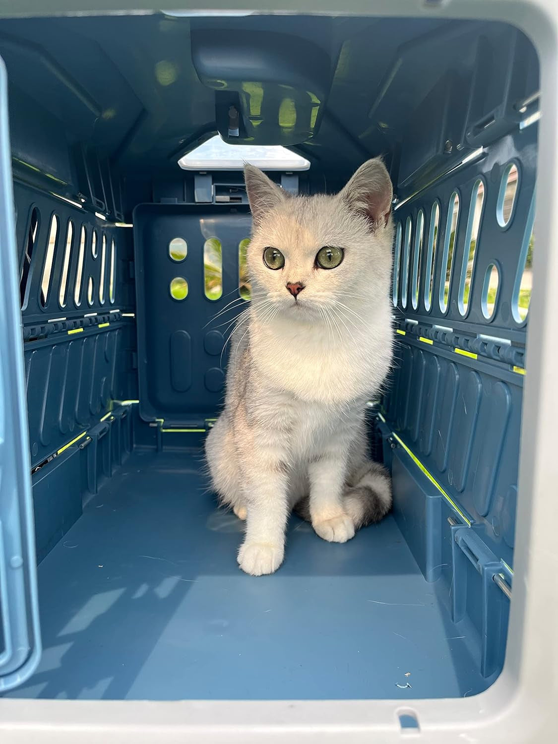 PetVoyage – Foldable Pet Transport Box for Safe & Comfortable Travel