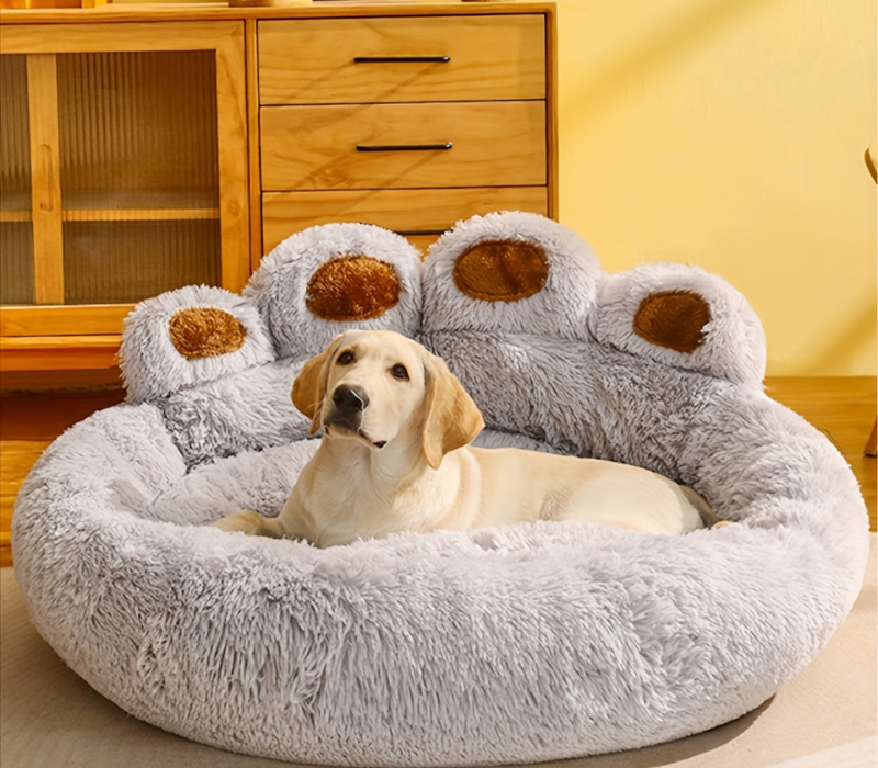 Waschbares, pfotenförmiges Haustierbett mit erhöhten Rändern