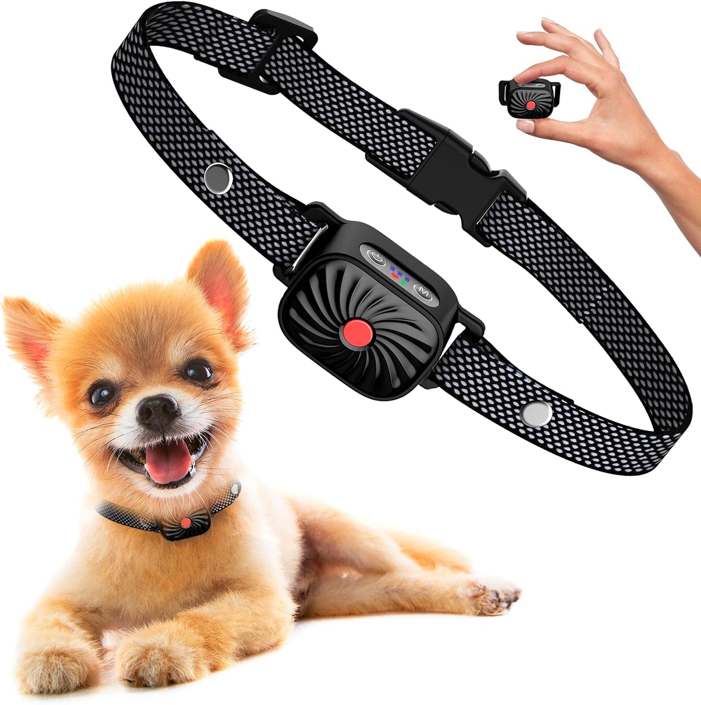 Adjustable Anti Bark Training Collar for Small Dogs