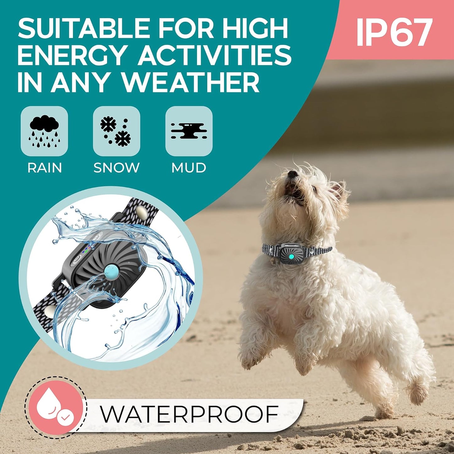 Adjustable Anti Bark Training Collar for Small Dogs