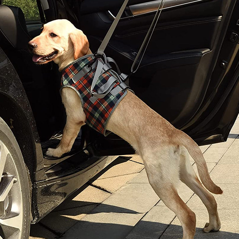Dog Rear Leg Support Harness