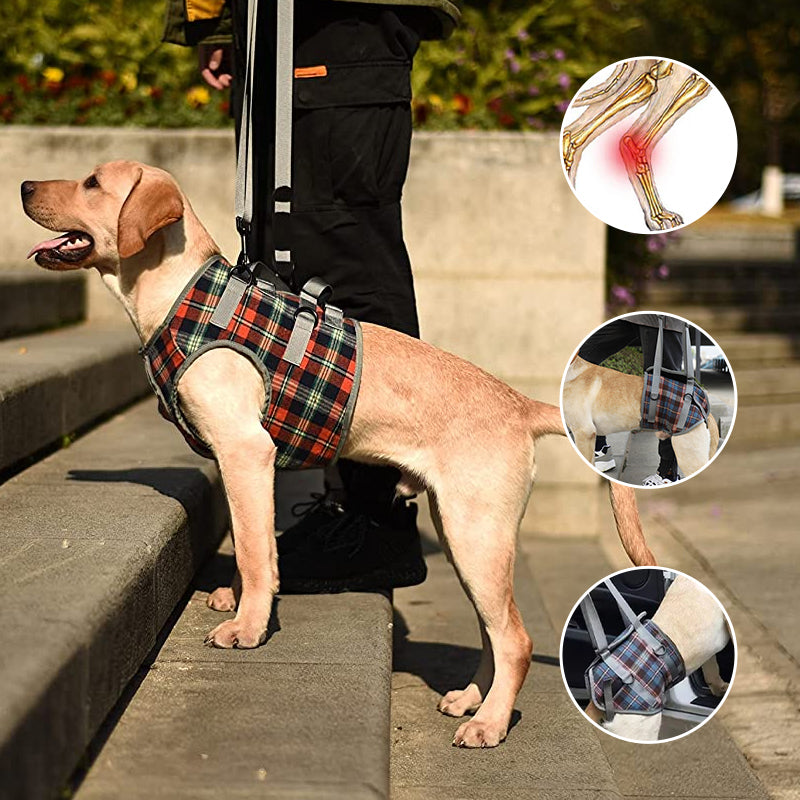 Dog Rear Leg Support Harness