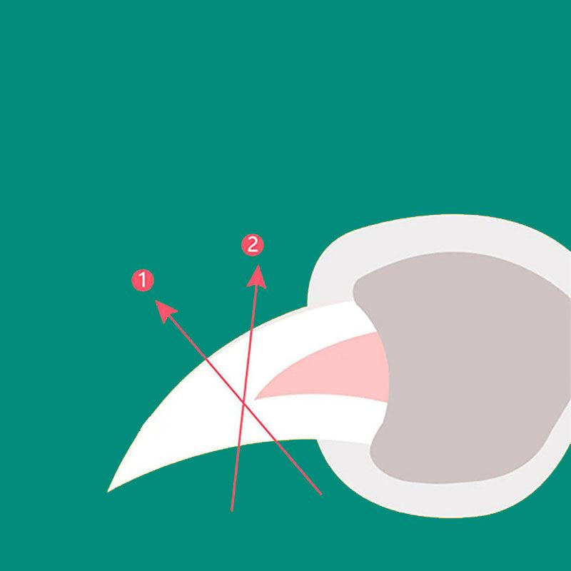 Pet Nail Clipper with Safety Guard for Dogs and Cats