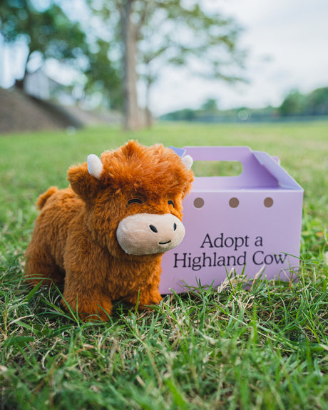 Highland Cow Plush Toy Soft Farm Animal Cuddle Toy