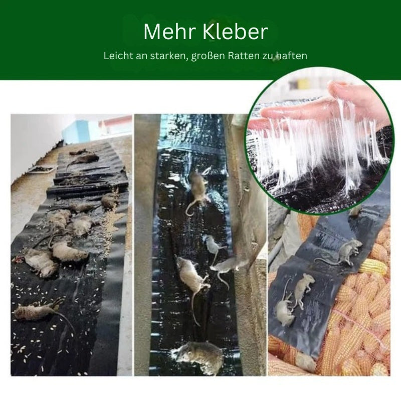 Large Sticky Mouse and Rat Glue Trap