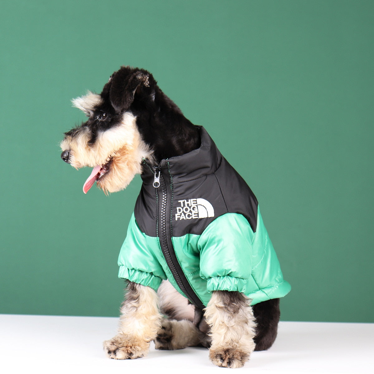 Warme Haustier-Steppjacke mit Entendaunen Hundemantel