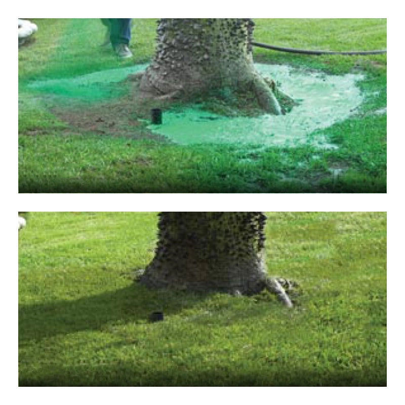 GreenSprout™ Liquid Lawn Seed Spray
