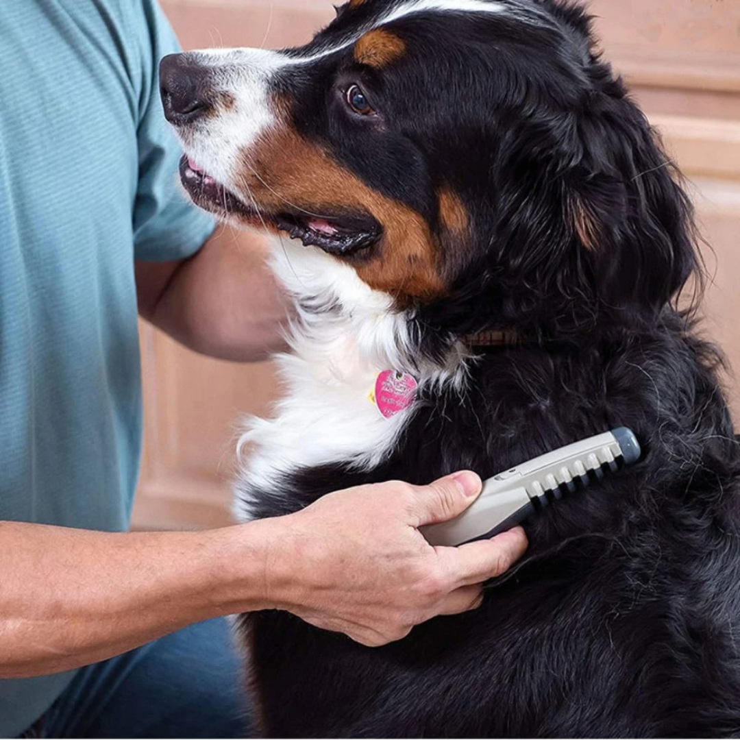 Pet Grooming Detangling Comb for Dogs & Cats