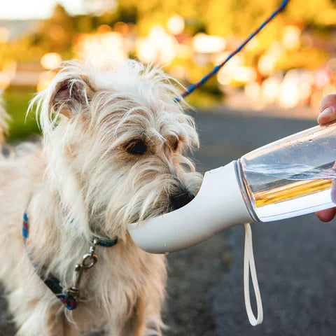 AquaPaw™ Portable Dog Water Bottle – Leak-Proof Hydration for Small Dogs On-The-Go