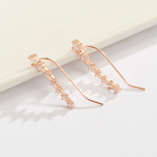 Glamour | Shiny Zircon 925 Sterling Silver Earrings