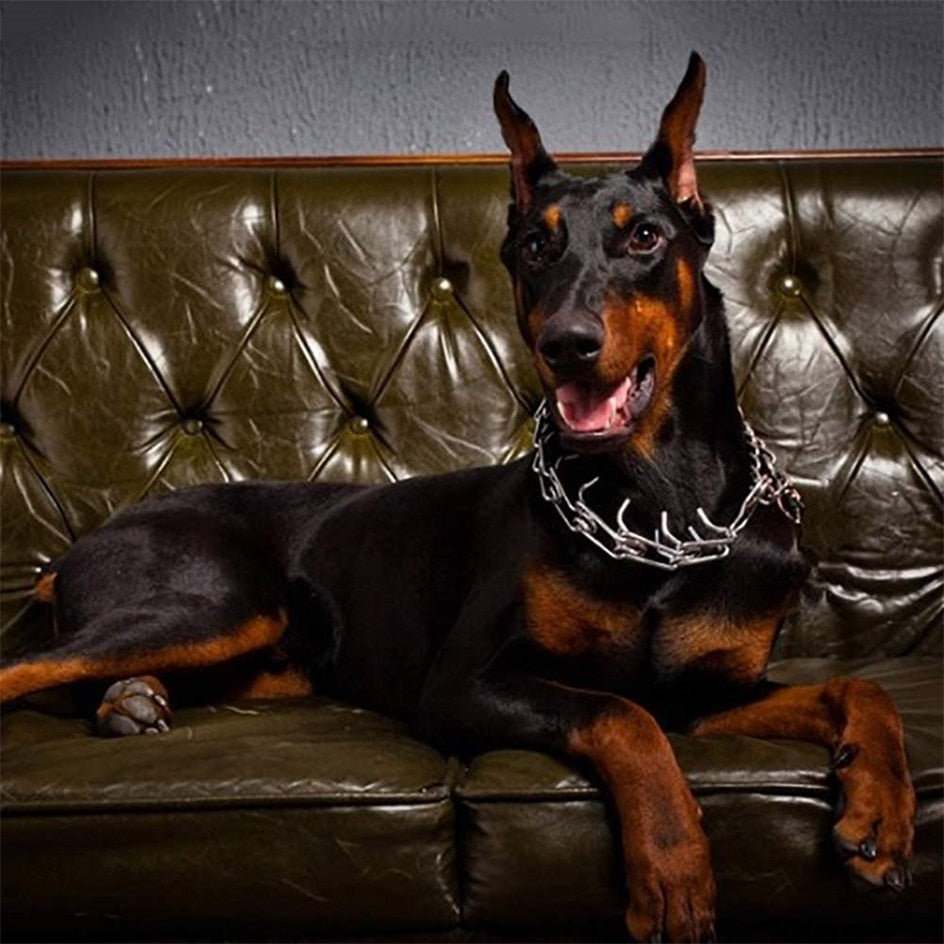 Verstellbares Hundetrainingshalsband Anti-Zug Metallstift-Halsband