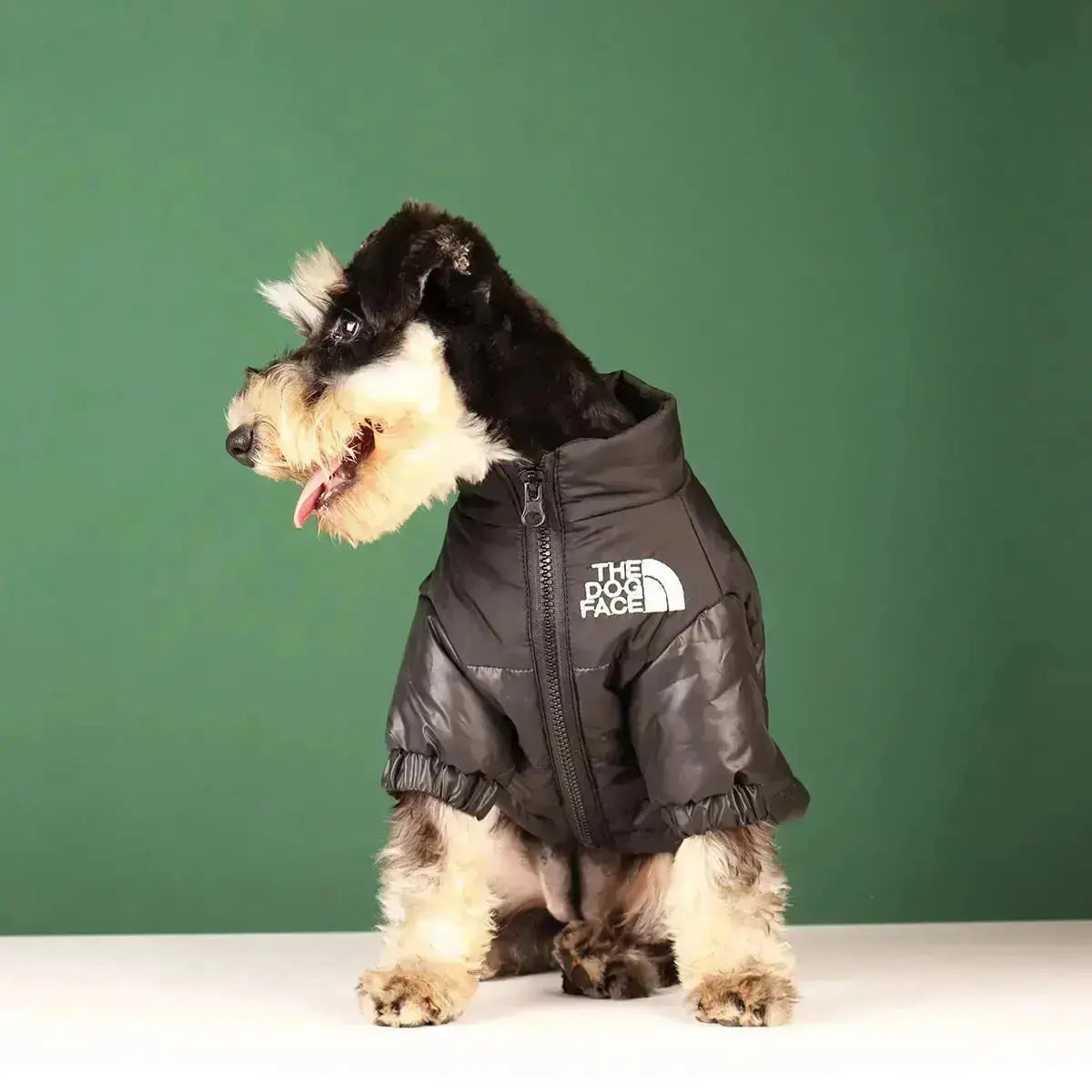 Warme Haustier-Steppjacke mit Entendaunen Hundemantel