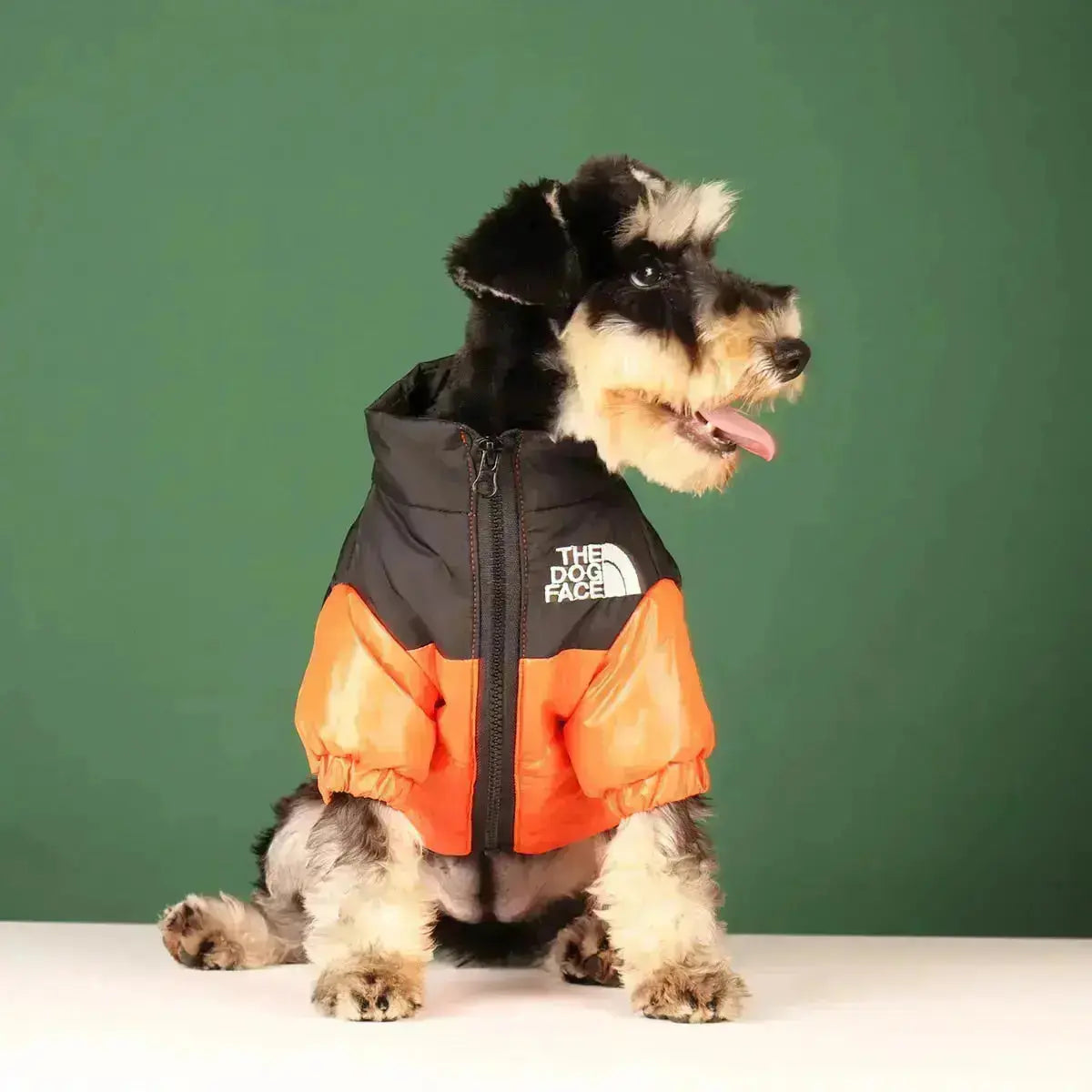 Warme Haustier-Steppjacke mit Entendaunen Hundemantel