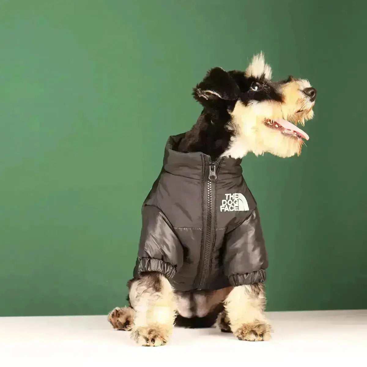 Warme Haustier-Steppjacke mit Entendaunen Hundemantel