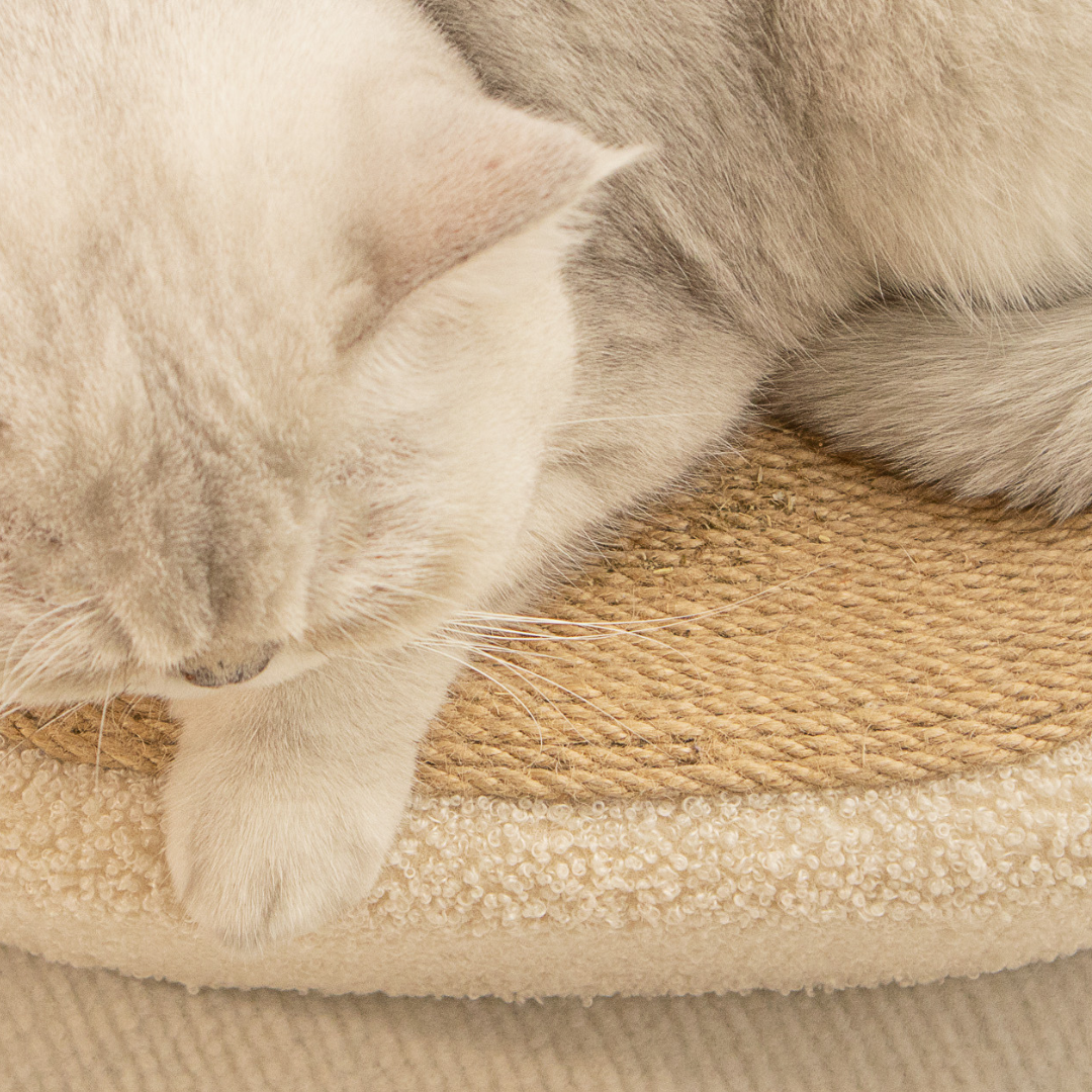 SisalNest – Premium Cat Sisal Scratching Bed