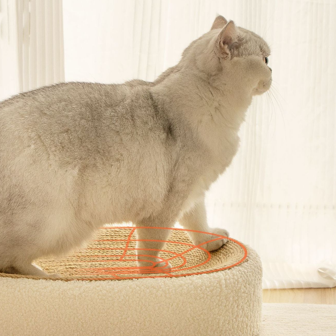 SisalNest – Premium Cat Sisal Scratching Bed