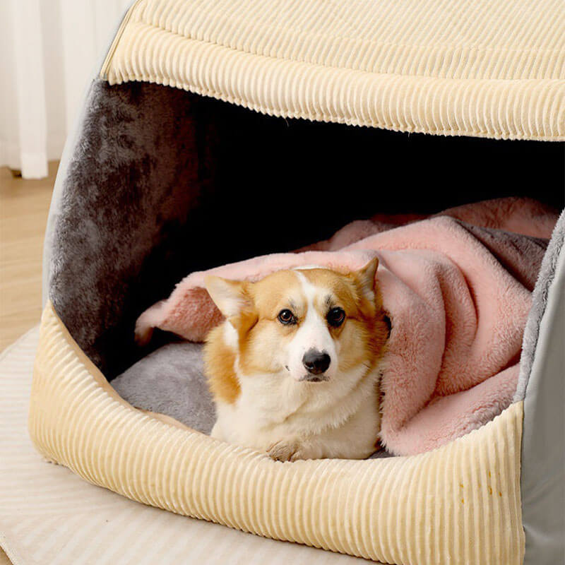 FluffNest Luxe – Spacious Plush Dog Bed for Cozy, Year-Round Comfort