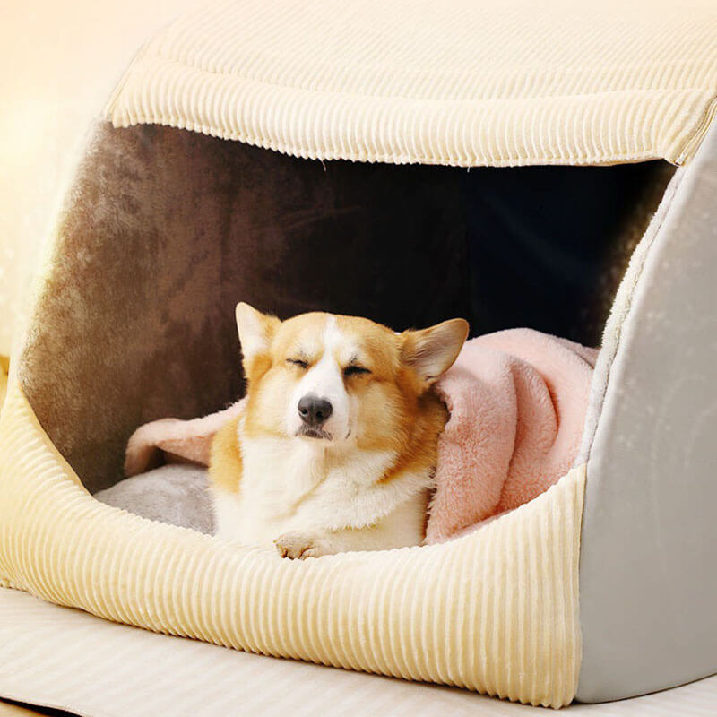 FluffNest Luxe – Spacious Plush Dog Bed for Cozy, Year-Round Comfort