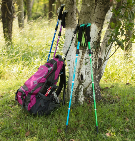 Adjustable Lightweight Trekking Poles