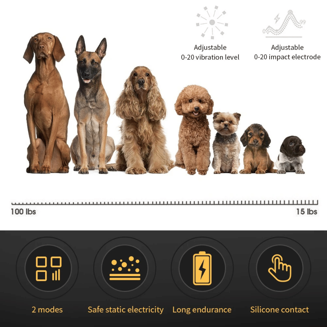 QuietGuard™ Automatic Anti-Bark Dog Training Collar – Humane Sound, Vibration & Static Control