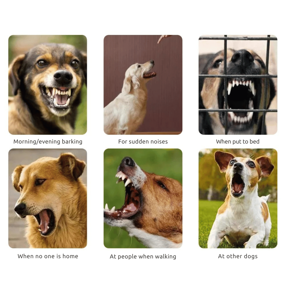 QuietGuard™ Automatic Anti-Bark Dog Training Collar – Humane Sound, Vibration & Static Control