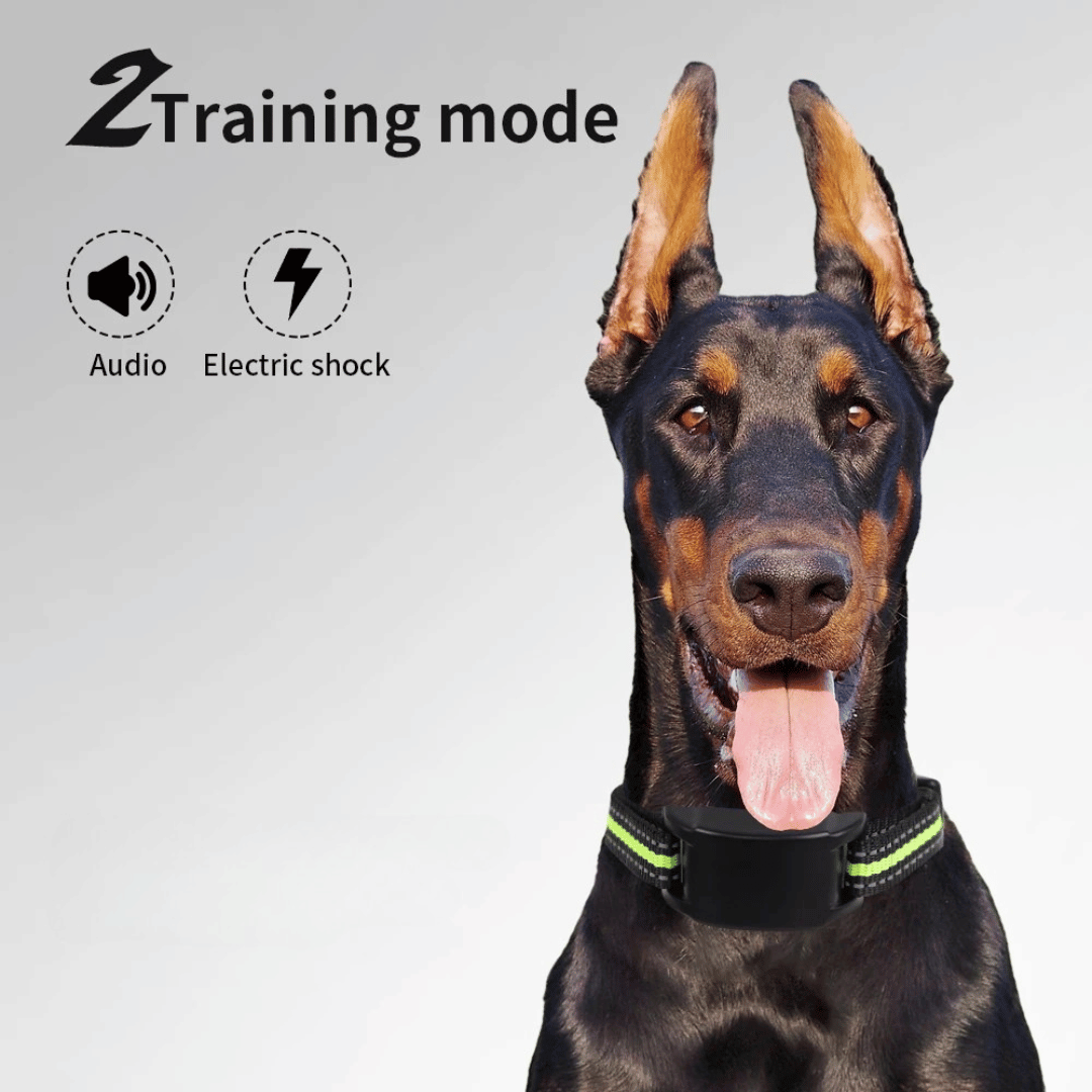 QuietGuard™ Automatic Anti-Bark Dog Training Collar – Humane Sound, Vibration & Static Control