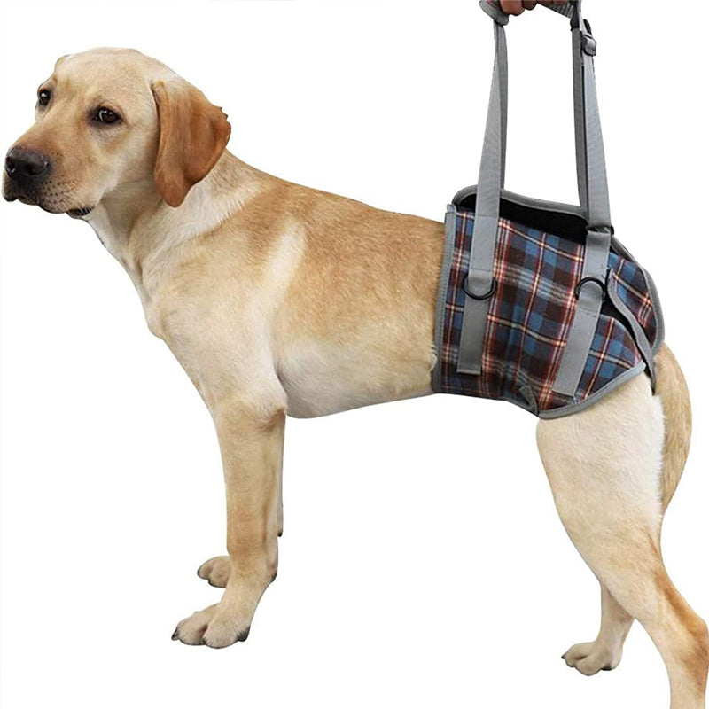 Dog Rear Leg Support Harness