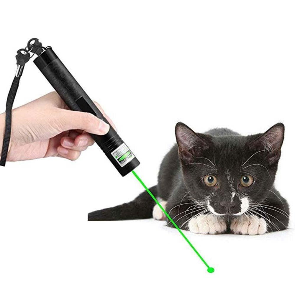 Adjustable Focus Laser Pointer with Safety Lock
