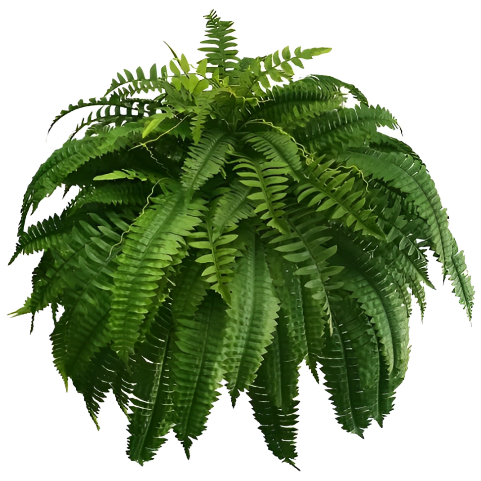 UV-Resistant Artificial Boston Fern Plant – Indoor & Outdoor Decorative Greenery