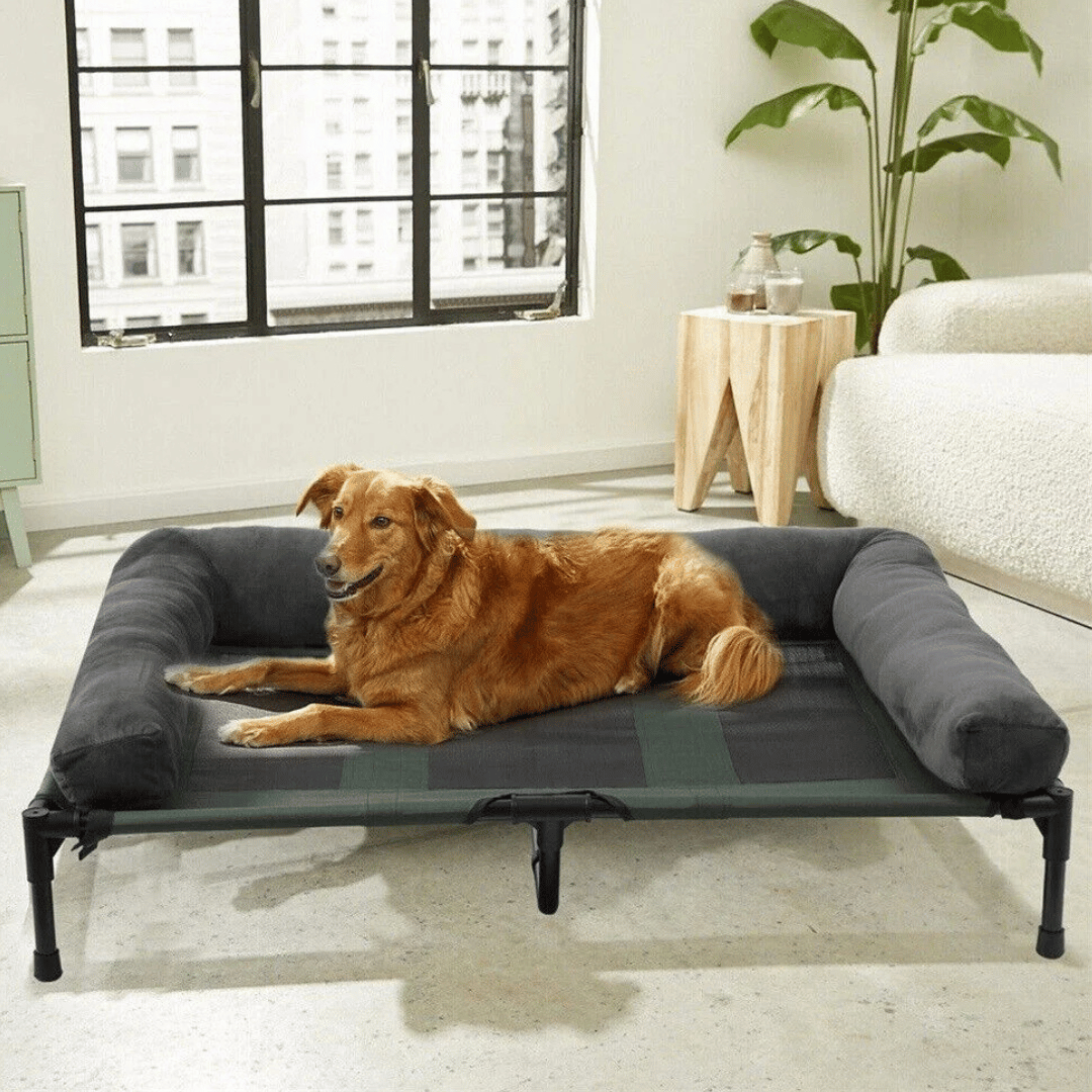 PawRest™ XL Raised Dog Bolster Bed for Large Dogs