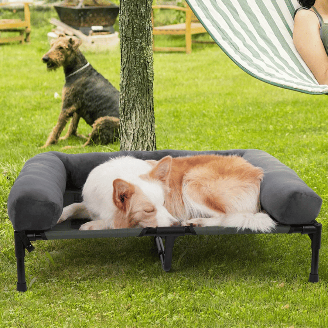 PawRest™ XL Raised Dog Bolster Bed for Large Dogs